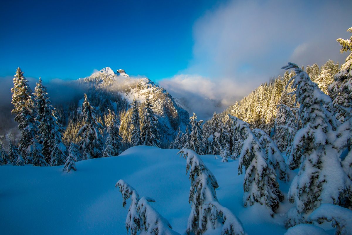 winter-mountains-3600x2400-forest-canada-hd-3822-1200x800.jpg